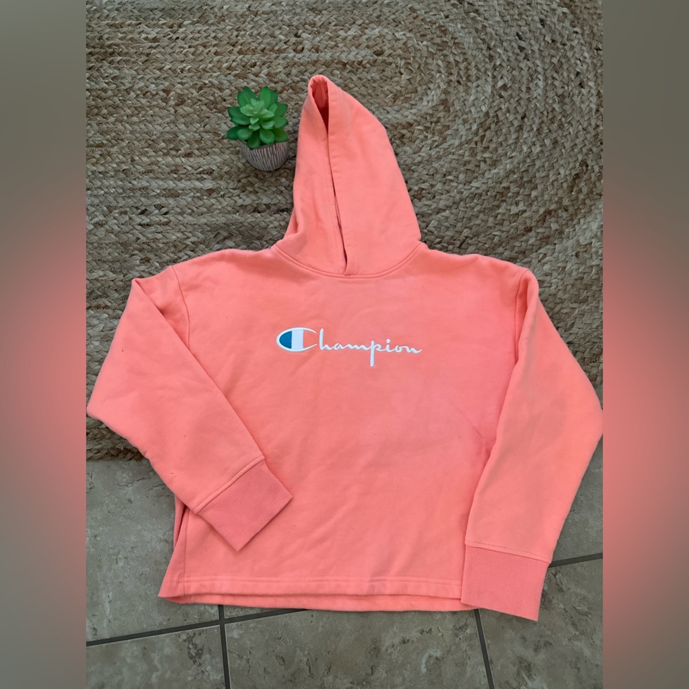 CROPPED CHAMPION HOODIE